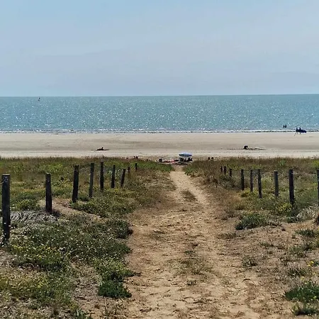 Duplex A 500 M De La *